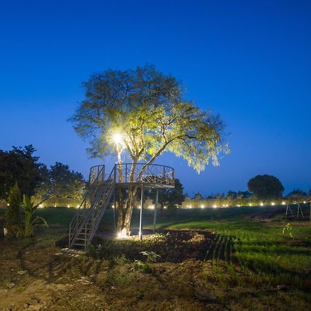 Elivaas Hidden Oasis 4Bhk With Pool, Mud House & Container House Villa Dhauj Luaran gambar