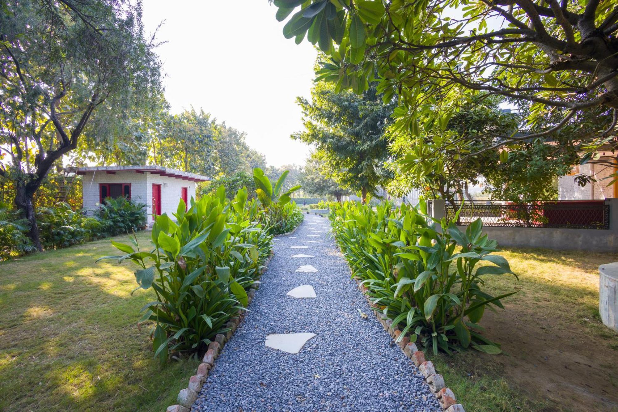Elivaas Hidden Oasis 4Bhk With Pool, Mud House & Container House Villa Dhauj Luaran gambar